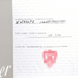 Cartier Panthère SM W25033P5 SS Quartz - Hàng hiệu Authentic 874100