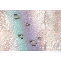 Đai túi - Hàng hiệu Authentic 873530