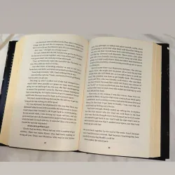 Crash and Burn by Michael Hassan (hardcover) 748357