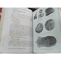 Almanach lịch sử văn hoá truyền thống việt nam - nhiều tác giả
