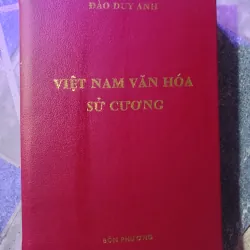 Việt Nam văn hóa sử cương - Đào Duy Anh 1046676