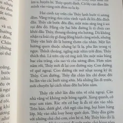 Bình Minh Nửa Đêm 736331