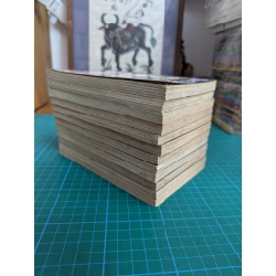 TRUYỆN TRANH Hành Trình Bí Ẩn - Clamp 145267