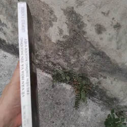 Về văn hóa và tín ngưỡng truyền thống người Việt của Leopold Cadière 1026178