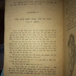 Chú bé rách rưới - Giêm Grin-út 973956