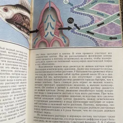 Перекрестки физики, химии и биологии; (Sự giao thoa hóa học, vật lý và y học); Р. Ильченко 1013117