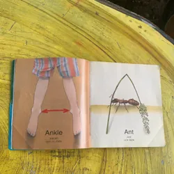 COMBO TỪ VỰNG TIẾNG ANH: HIỂU ĐỂ NHỚ & NHỮNG CHỮ CÁI KÌ DIỆU 737766