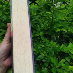 Khu rừng tập kịch của Aleksamdr Ostrovski 995501