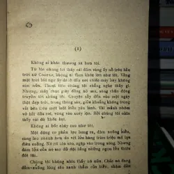 Cây noel - Misen Batayơ 785860