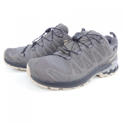 Giày thể thao SALOMON XA PRO 3D V9 GTX W 657329