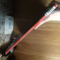 Sách tranh tiếng anh Brooklyn Bridge, Used, bìa cứng, còn bìa áo 476861