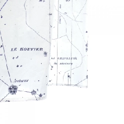 Chân váy CHRISTIAN DIOR - Hàng hiệu Authentic 825190