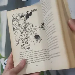 The Magic Faraway Tree - Enid Blyton 1033612
