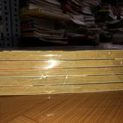 Bộ tứ kim cương - Mizushiro Setona 791769