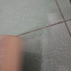 Die 100 roman của kass mỏgan 996791