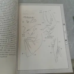 TRANH VẼ ĐƯỜNG NÉT PHỤ NỮ (仕女白描画谱 ) 557838