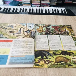 TẠP CHÍ TOUT L’UNIVERS – 1962 (11) 1015674