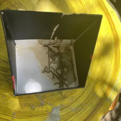 BOXSET CHẠNG VẠNG FULL 5 CUỐN 597227