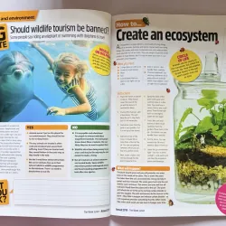 The Week Junior Annual 2019 - Bách khoa giải trí 999819