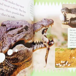 Big babies, little Babies: Discover the enchanting world of newborn animals 7899