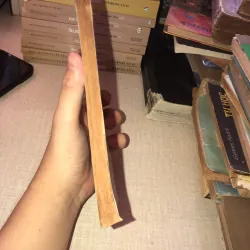 Tủ sách văn học trong nhà tường Trần Tế Xương 937135