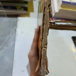 CHÚ BÉ MI-SCA 606458