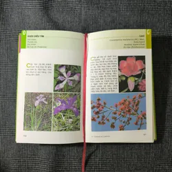 [Bìa cứng] Từ điển tranh về các loài hoa - Lê Quang Long 590816