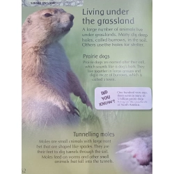 The Children's Encyclopedia of ANIMALS 550646