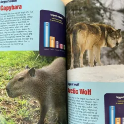 Sách tiếng Anh Book of world records 2012 753304