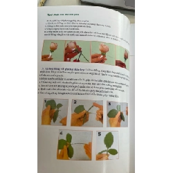 Cắm Hoa Đơn Giản - Thục Nữ 1049255