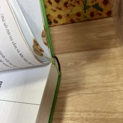 Thức Ăn Việt Nam - Triệu Thị Chơi 1003166