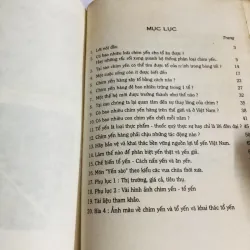 YẾN SÀO VÀ ĐỜI SỐNG CHIM YẾN HÀNG 749083
