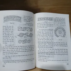 Theo Dấu Các Văn Hóa Cổ - Hà Văn Tấn  698015