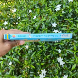 Cats and Kittens 995238