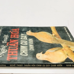 NGHỆ THUẬT THUẦN HOÁ CHIM CU GÁY 447861