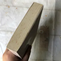 Hoa Cúc Dại - Kim Ân 974418