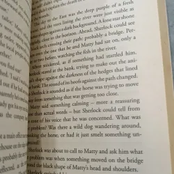 YOUNG SHERLOCK (SHERLOCK THỜI TRẺ) - ANDREW LANE 791955