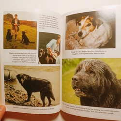 Nigel : My Family And Other Dogs 462000