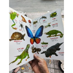 Từ Điển Bằng Tranh Thế Giới Động Vật - Phan Minh Đạo 1009419