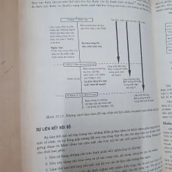 QUẢN TRỊ NGUỒN NHÂN LỰC  1001639