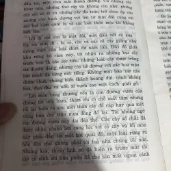 Tiểu thuyết Rebecca 990607