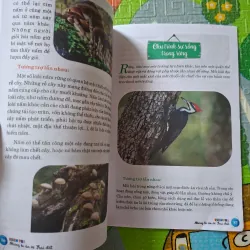 Khám Phá Những Bí Ẩn Về Trái Đất 1032375