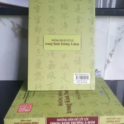 Sách nghiên cứu Phật học Những vấn đề cốt lõi trong Kinh Trường A-hàm - Thích Hạnh Bình mới 90% 675456