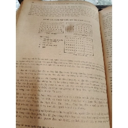 Các dân tộc ít người ở Việt Nam ( Các tỉnh phía Nam ) 1031844