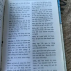 Từ điển từ đồng âm tiếng Việt - Nguyễn hữu Quýnh  1020237