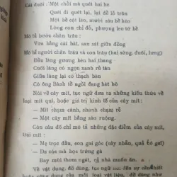 CÂU ĐỐ VIỆT NAM 556945