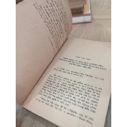 CÂY BẠC HÀ - ĐỖ TẤT LỢI 165502