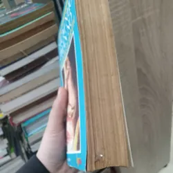 Chùm nho phẫn nộ tập 2 📚 783012