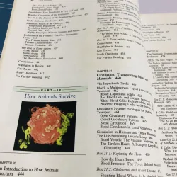 THE NATURE OF LIFE – John H. Postlethwait & Janet L. Hopson 780372