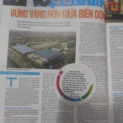 Báo Tuổi trẻ Xuân Bính Ngọ 2026 992241